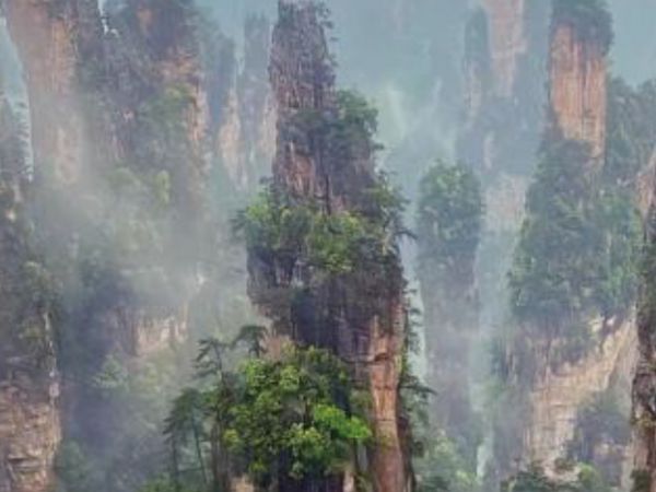 【魅力森林公园·高铁四日游】